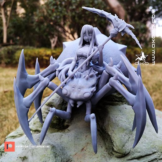 转生蜘蛛又怎么样  人形蜘蛛娘