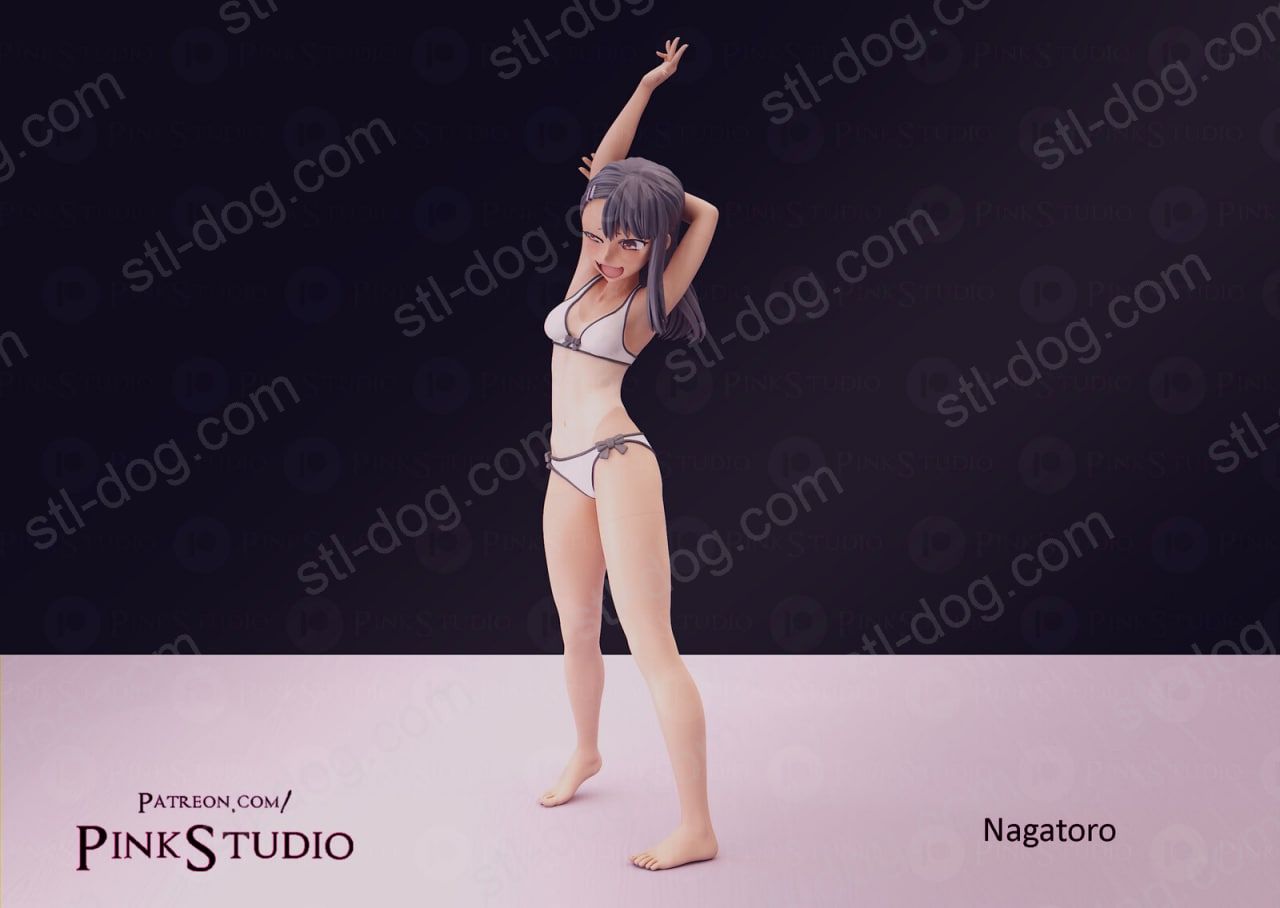 不要欺负我，长瀞同学 3D打印手办模型