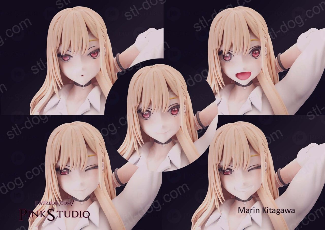 更衣人偶坠入爱河 喜多川海梦3D打印模型