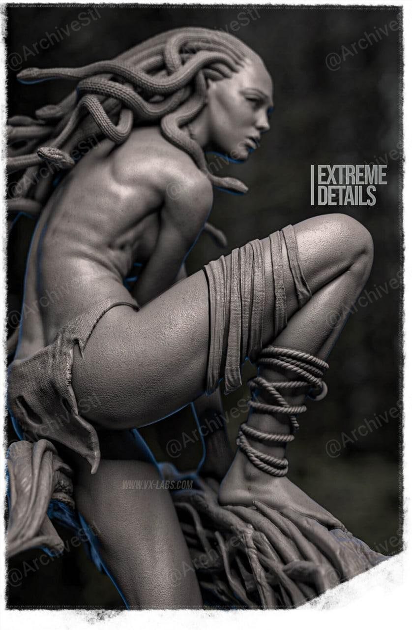 美杜莎(Medusa) 3D打印图纸