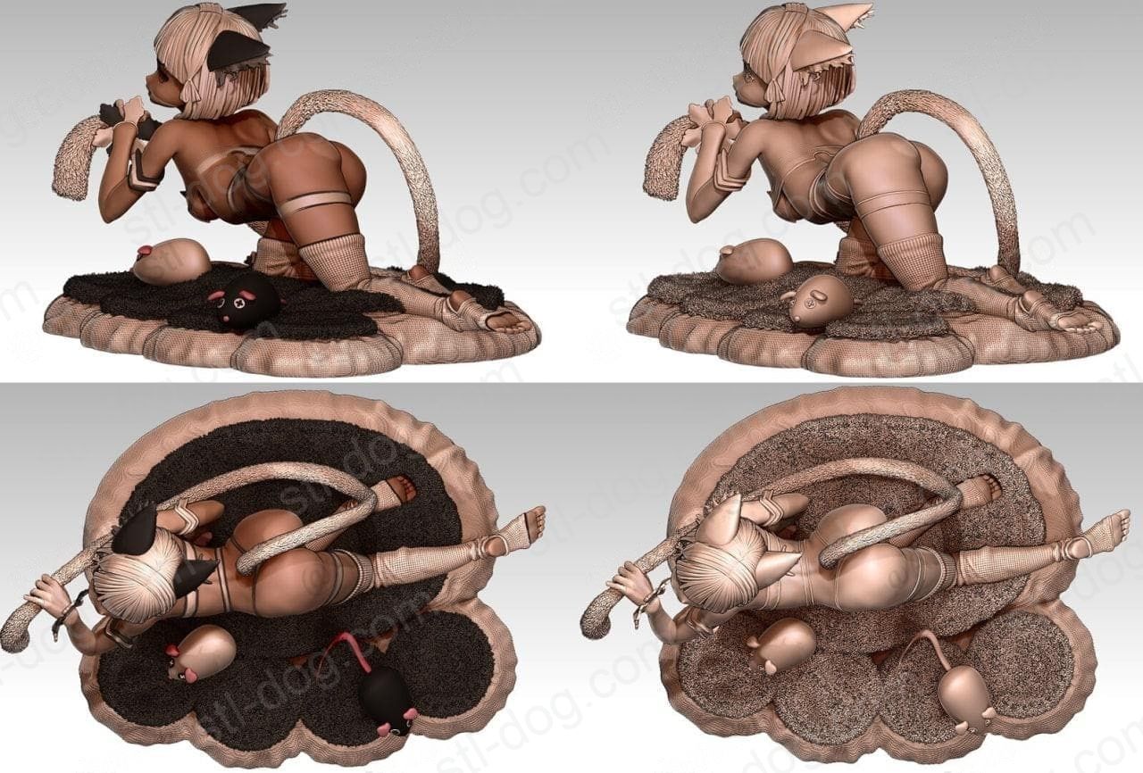 异度之刃 Xenoblade Chronicles 妮娅 (Nia cat girl) 3D打印图纸